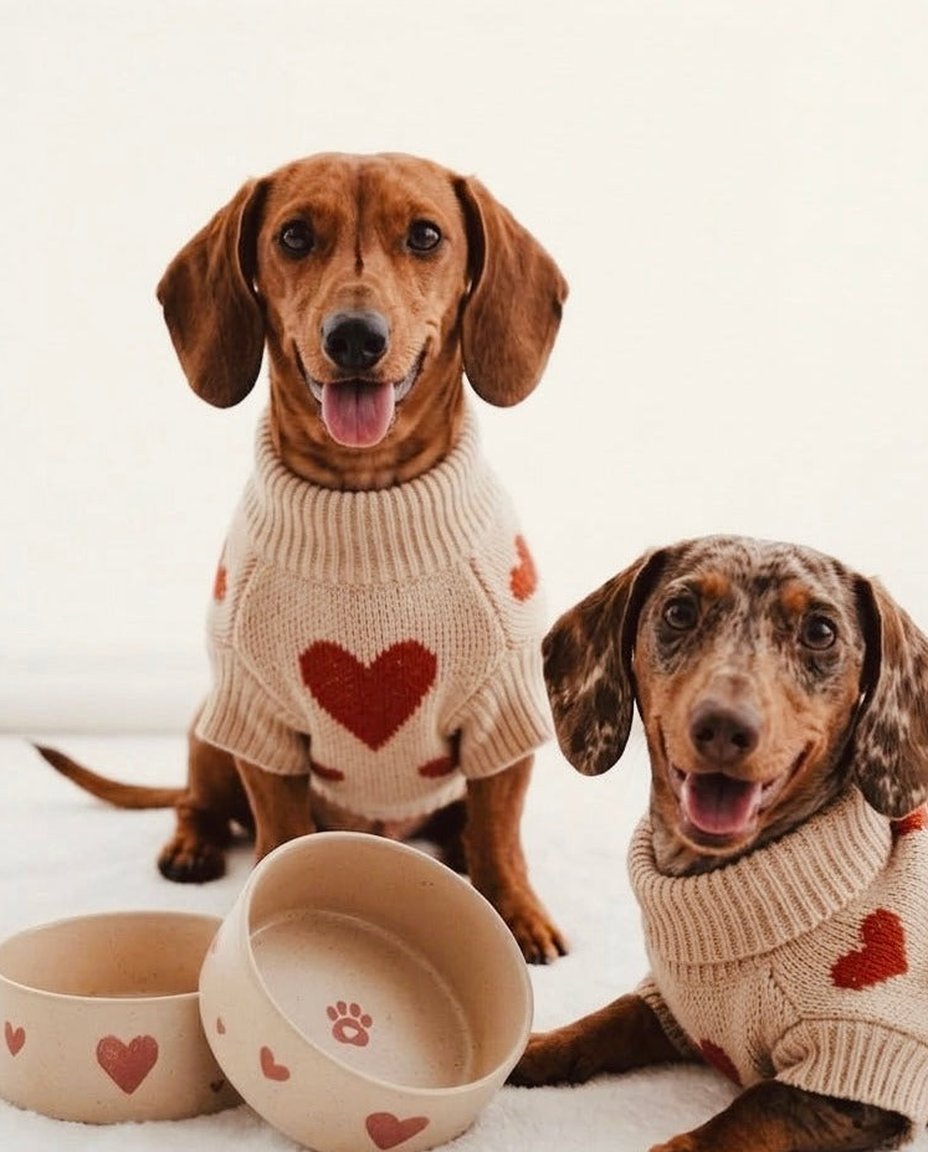Cozy Hearts Stoneware Pet Bowl 14cm 2 Pieces Set