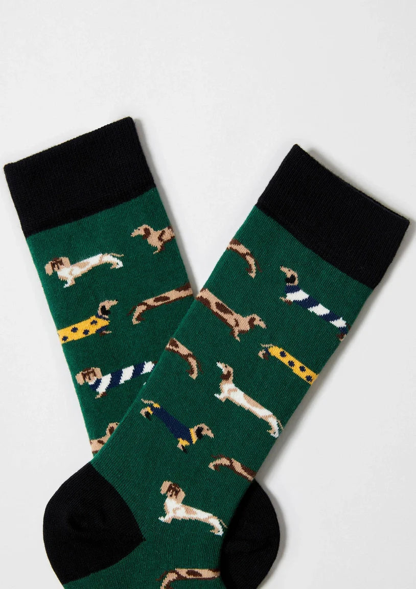 Chaussettes BePets - Teckels