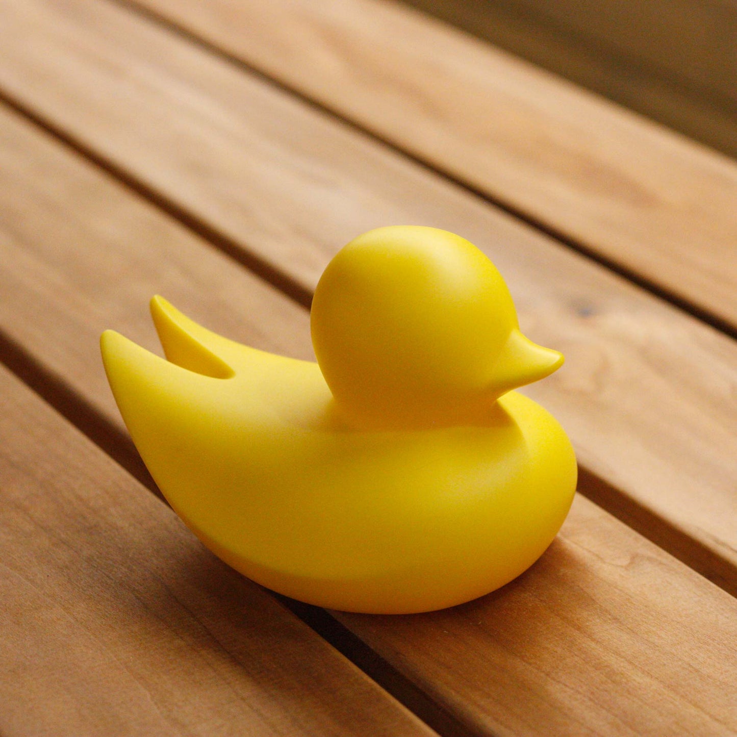Canard Minimaliste