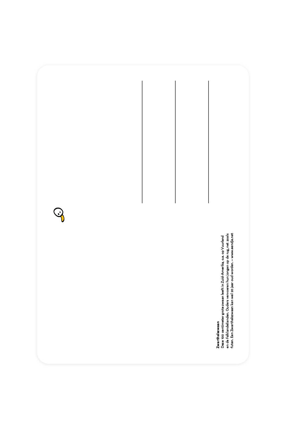 Postcard with Black-necked Swan