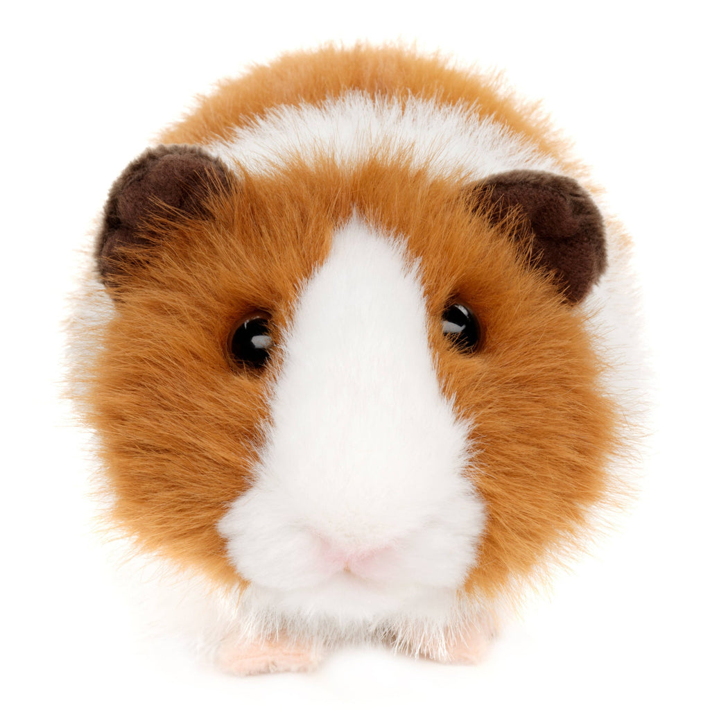 Peluche Cochon d'Inde (marron) Uni Toys