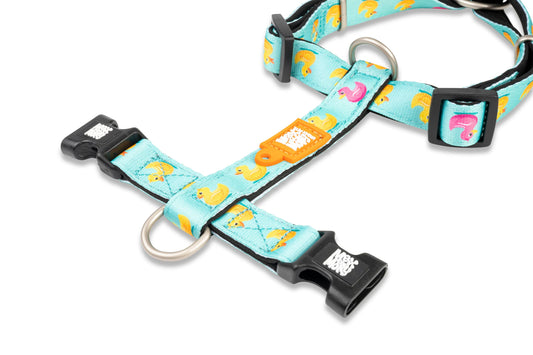 H-harness - Ducks