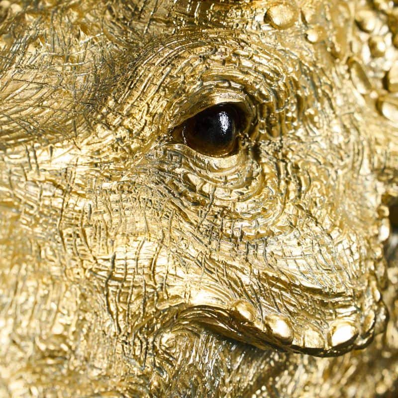 Applique murale Triceratops Cera Or, résine, 31,5 x 28,5 cm