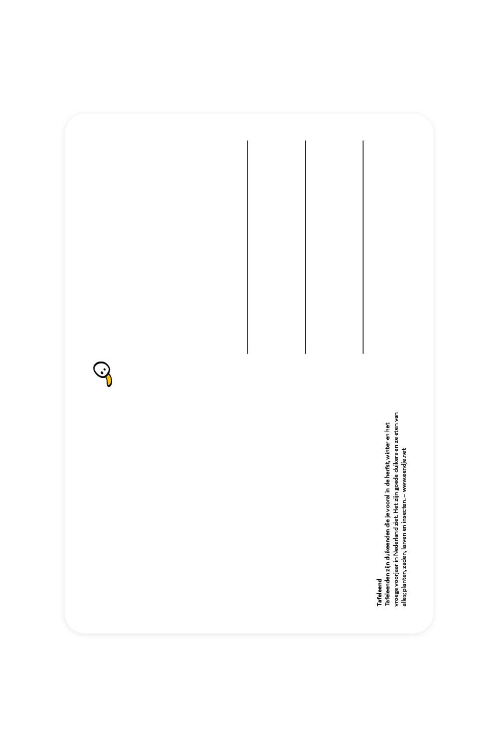 Carte postale avec canard de table