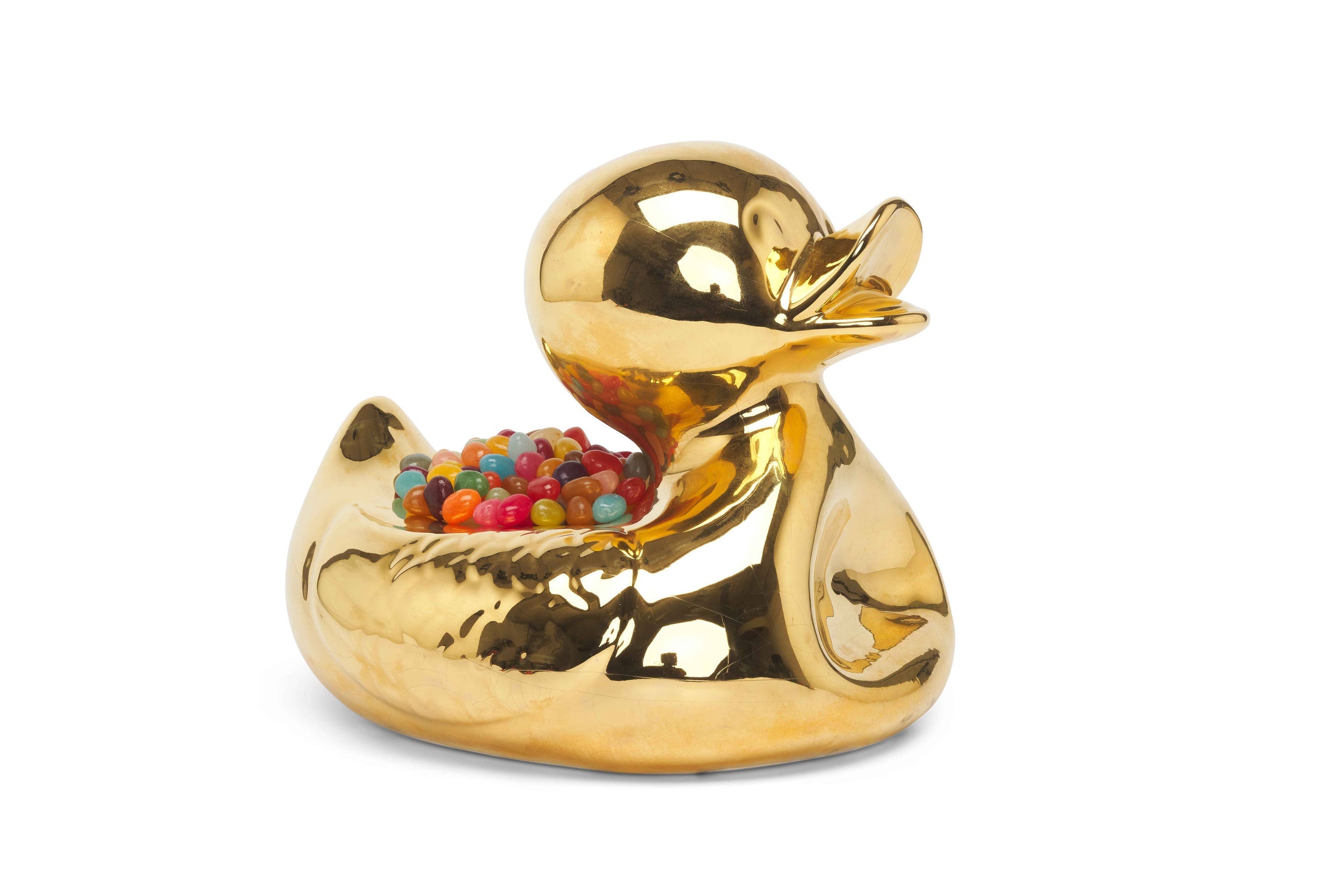 M. Ugly Duckling Amarillo – Jasmin Djerzic – Amarillo – vue 4