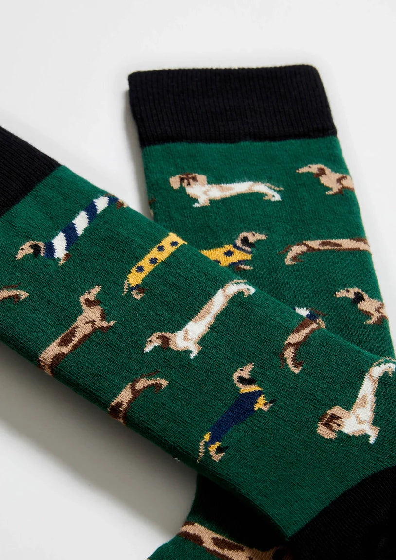 Chaussettes BePets - Teckels