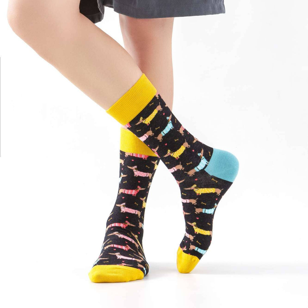 Dachshund socks with sweater