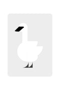 Carte postale Cygne trompette