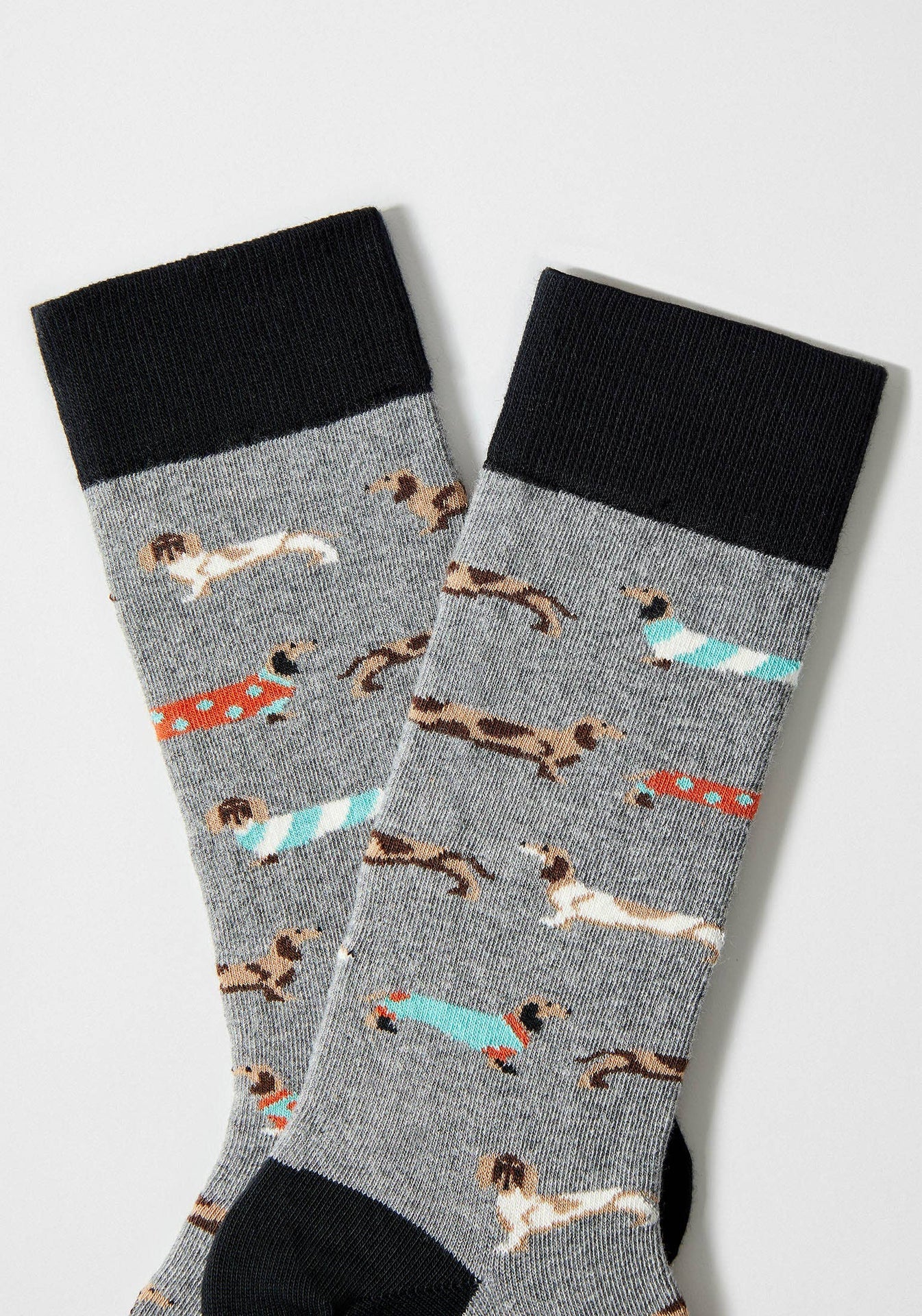 Chaussettes BePets - Teckels
