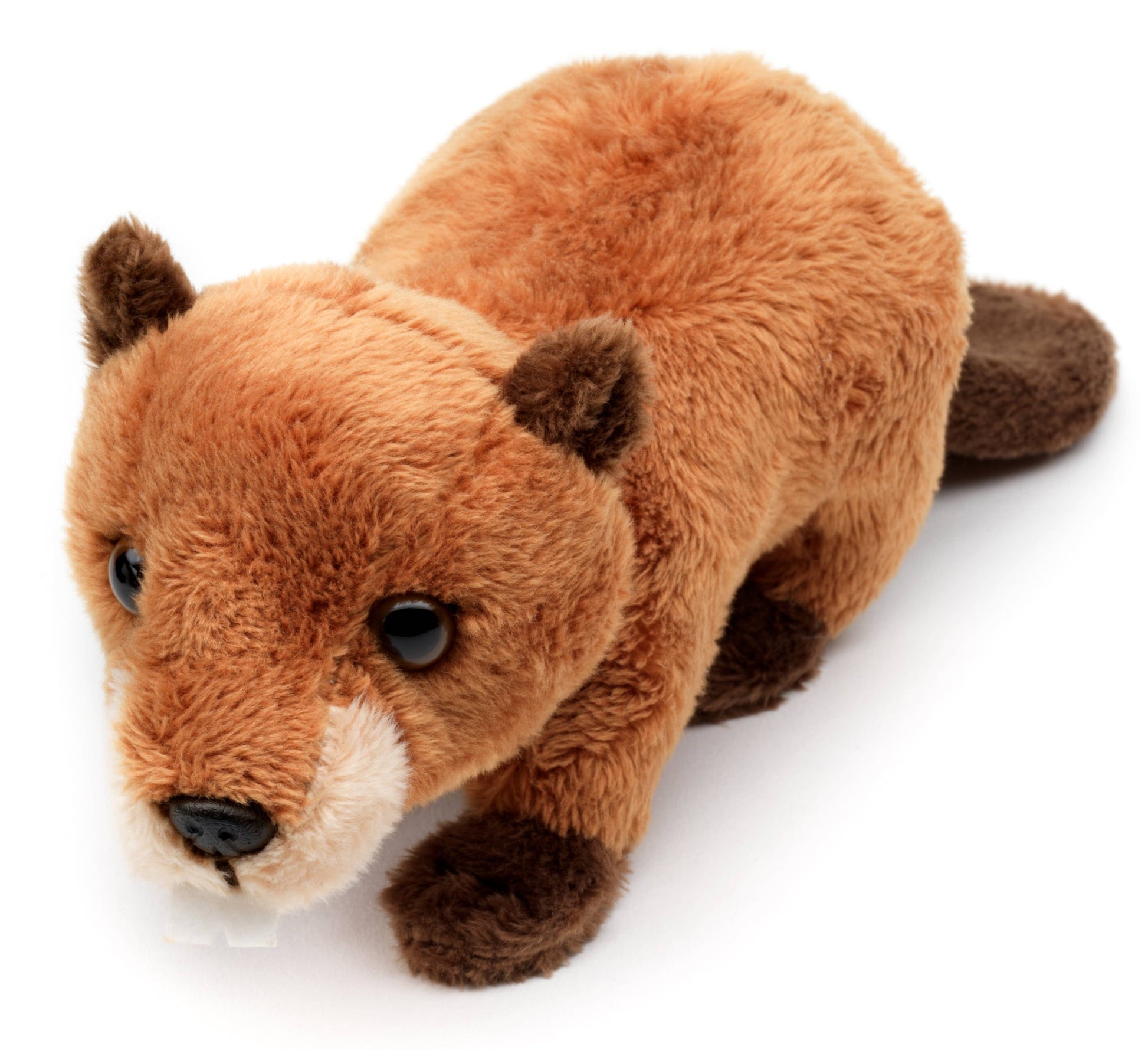 Peluche de castor Uni Toys