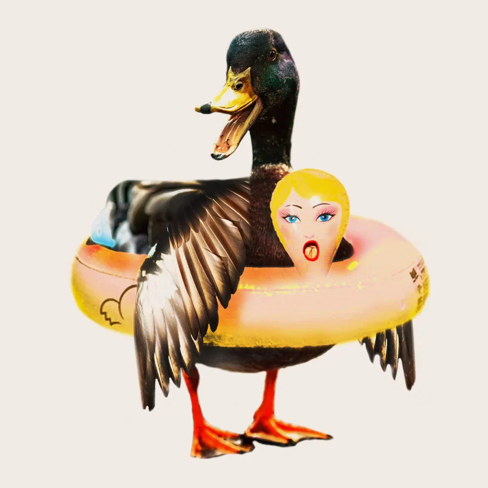 Mallard Duck bøyehette