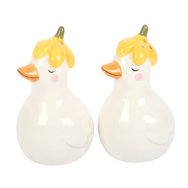 Salière et poivrière Canards Floral