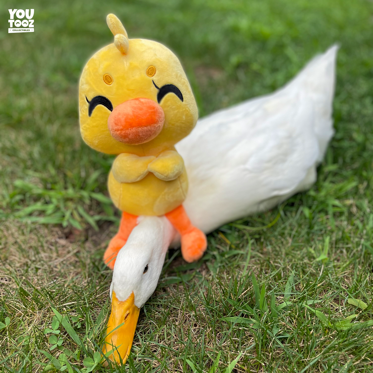 Duck This Plush (9in)