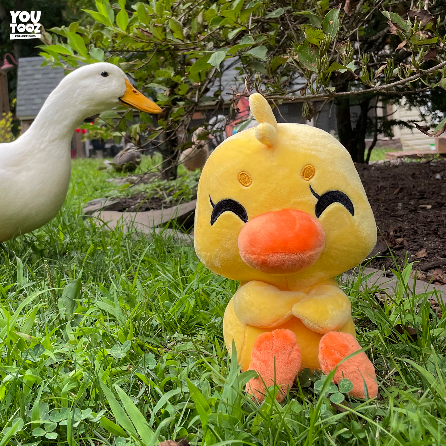Duck This Plush (9in)