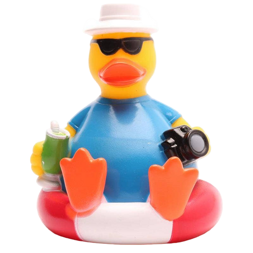 Touristenente auf einer Boje