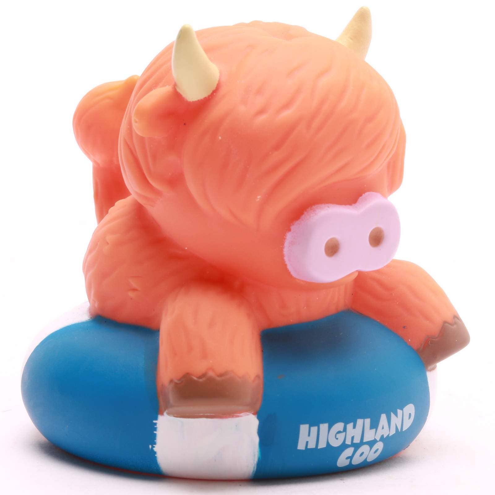 Highland-Kuh auf Boje
