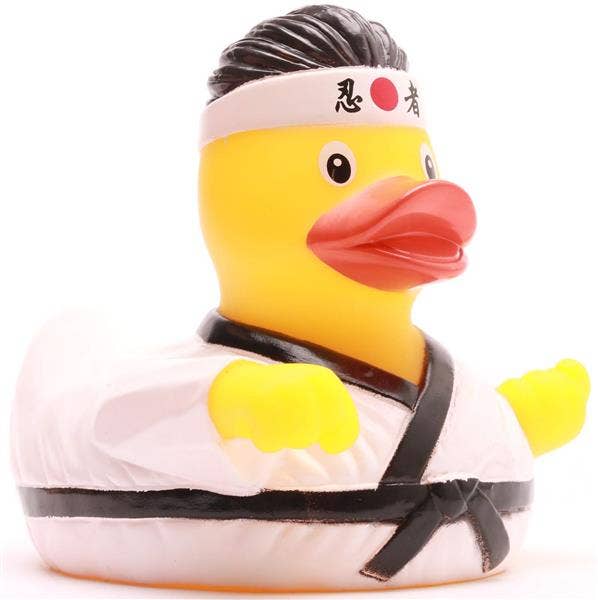 Canard Karaté