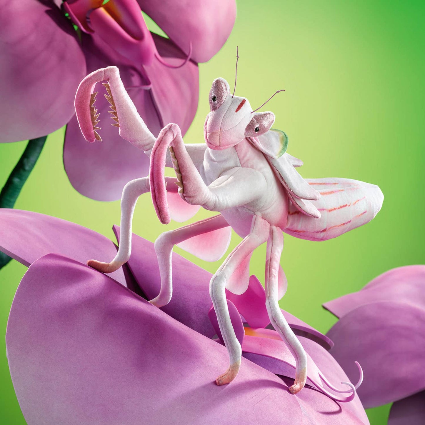 Marionnette à main Mante religieuse / Mante orchidée 3236, marionnette à main Folkmanis Folkmanis réaliste