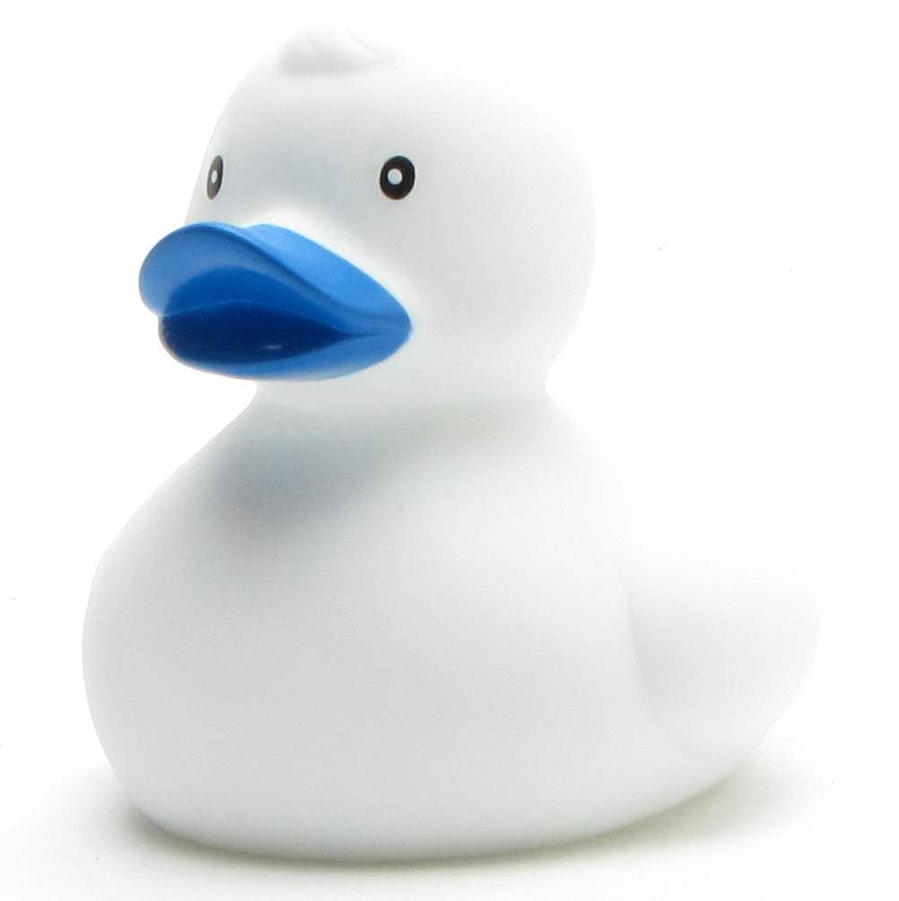 canard classique blanc 1
