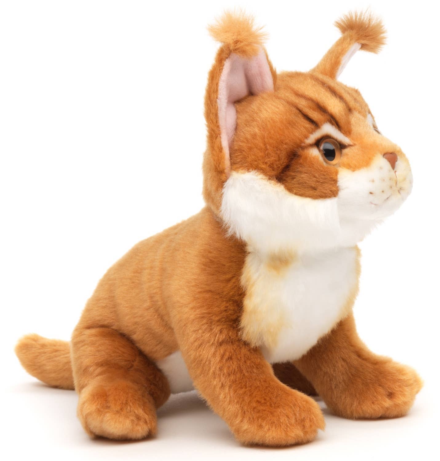 Peluche Chat de Maine-Coon (brun)