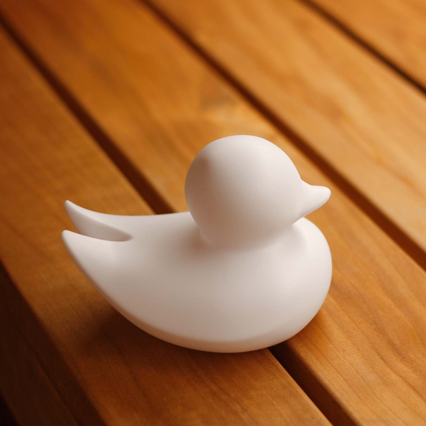 Canard Minimaliste