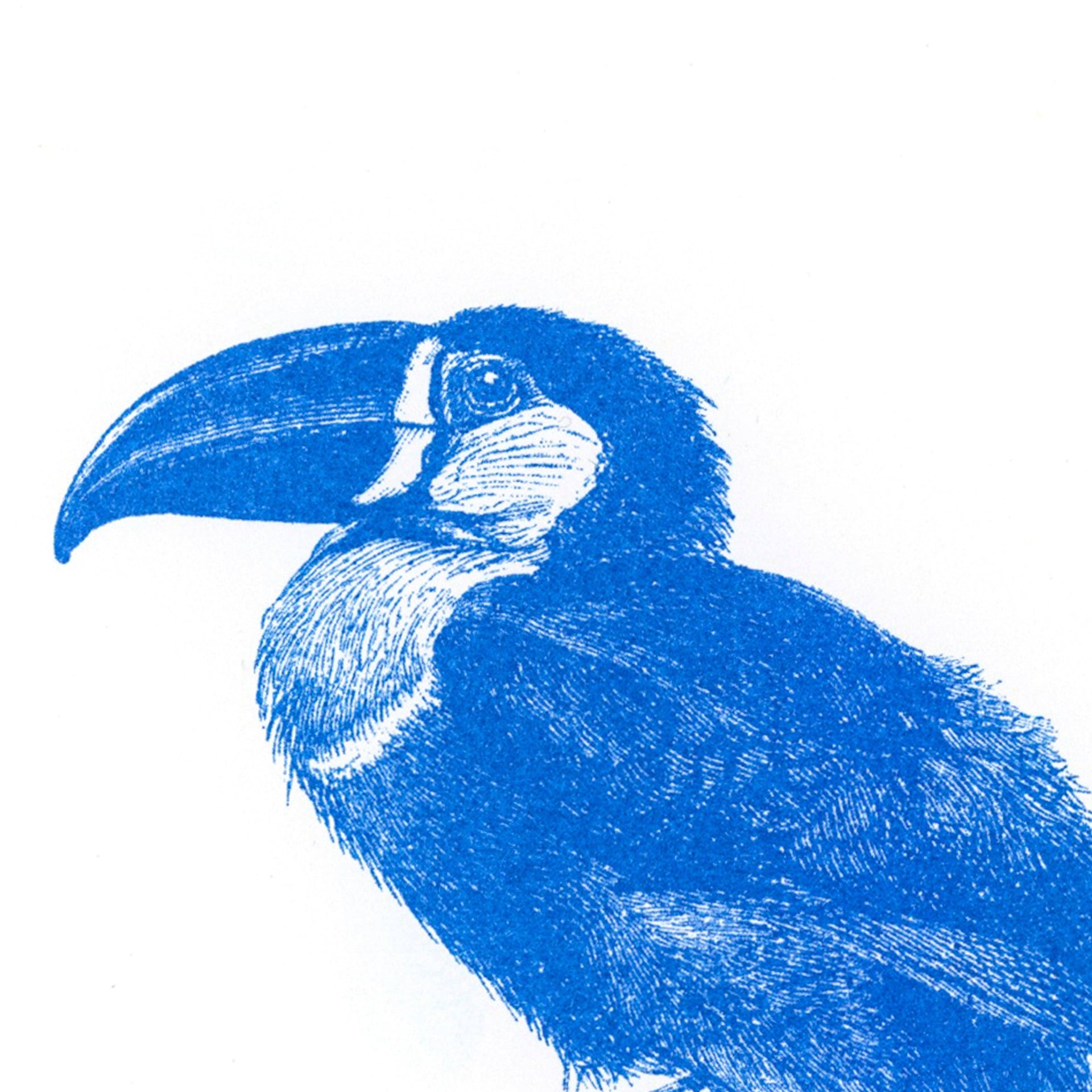 Postkarte mit blauem Tukan