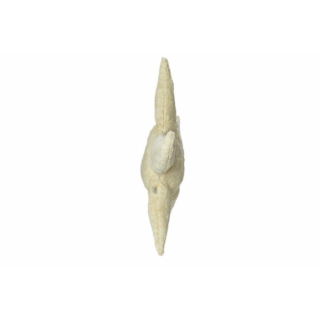 Peluche étoile de mer, petit