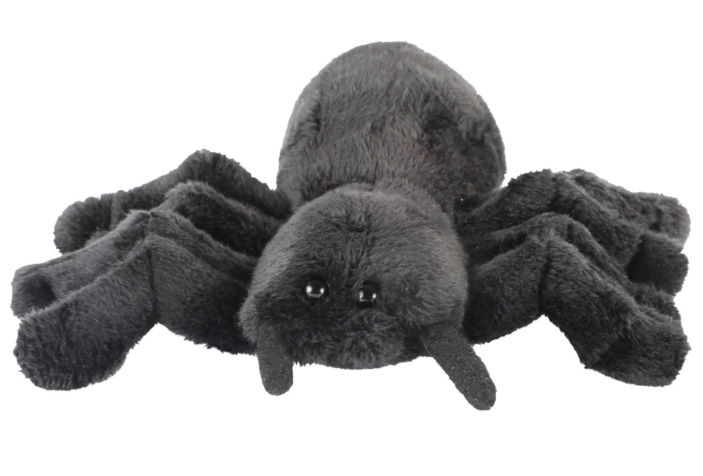 Peluche Araignée
