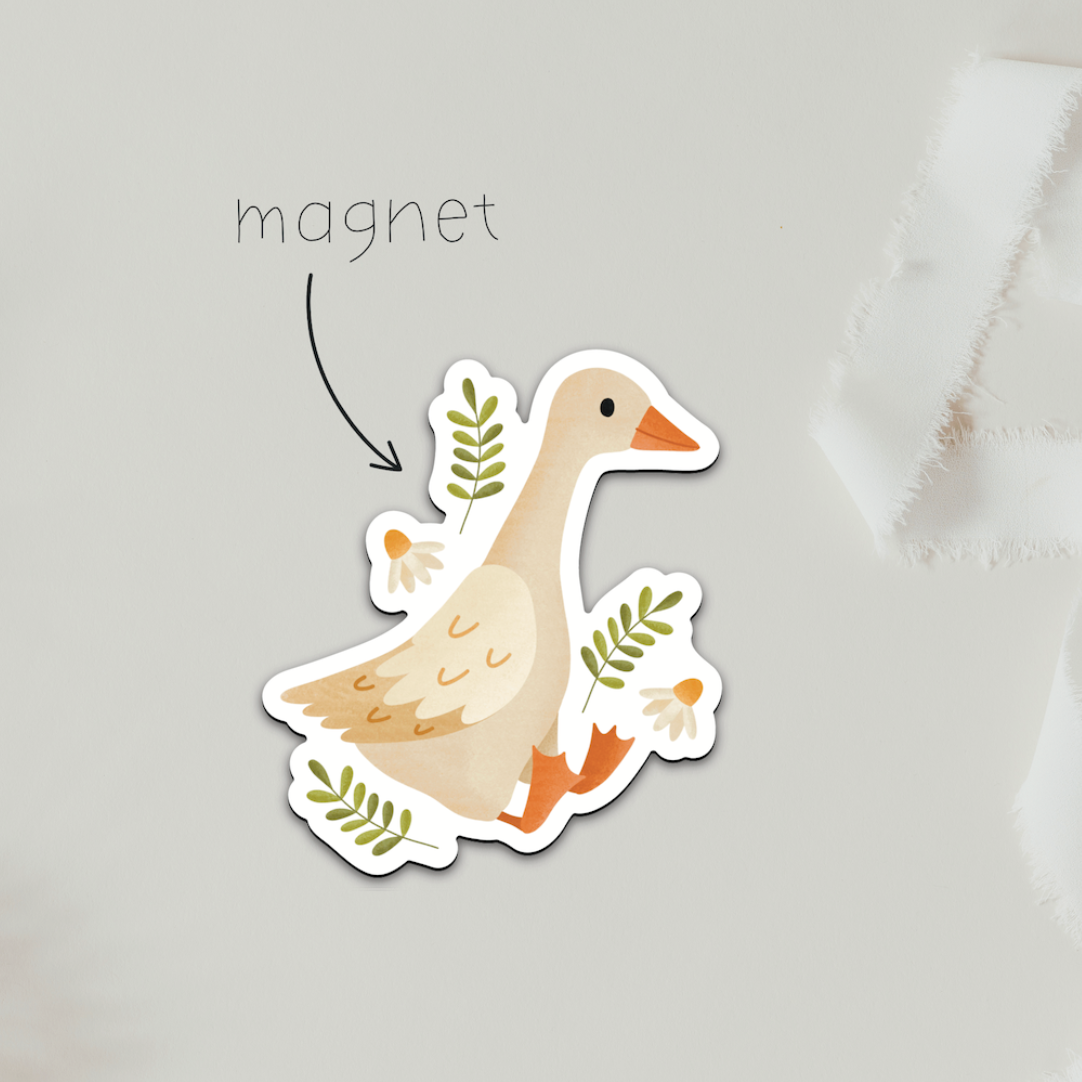 Magnet Canard Meadow