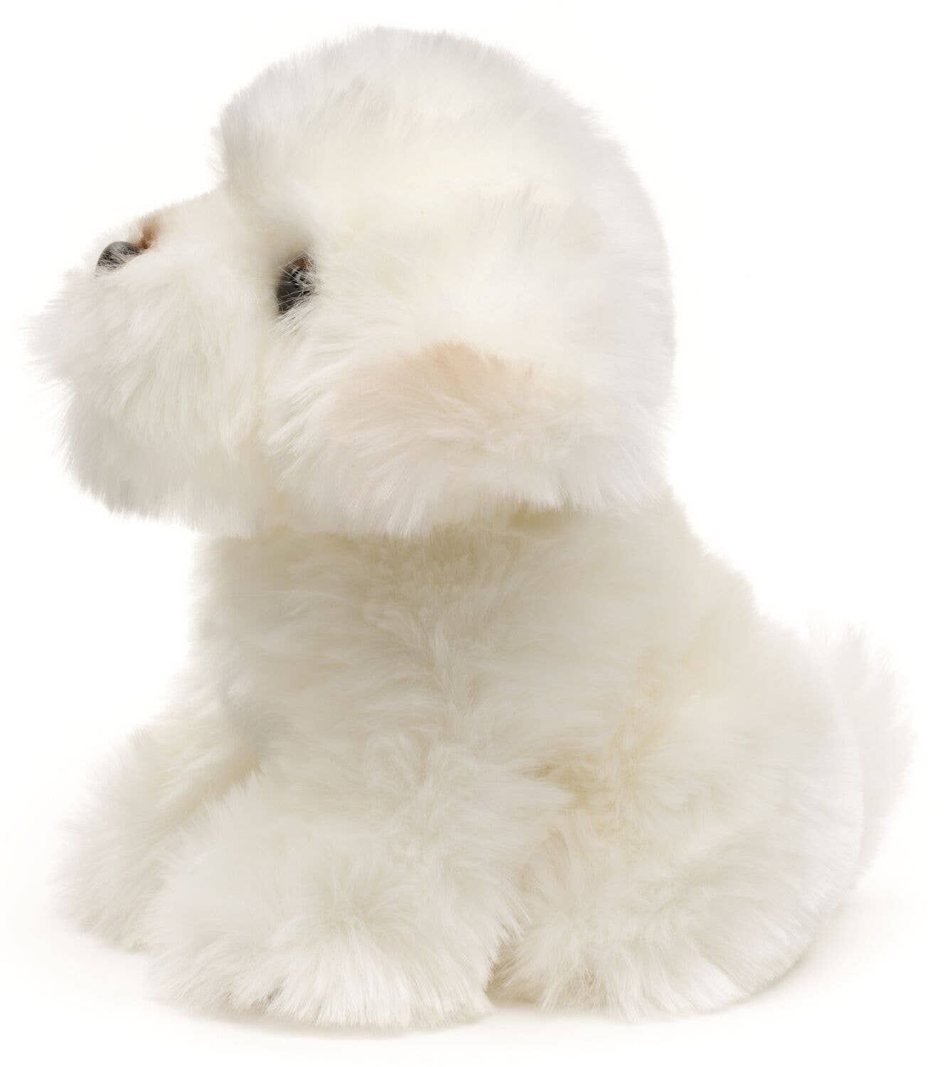 Peluche chien maltais Uni Toys