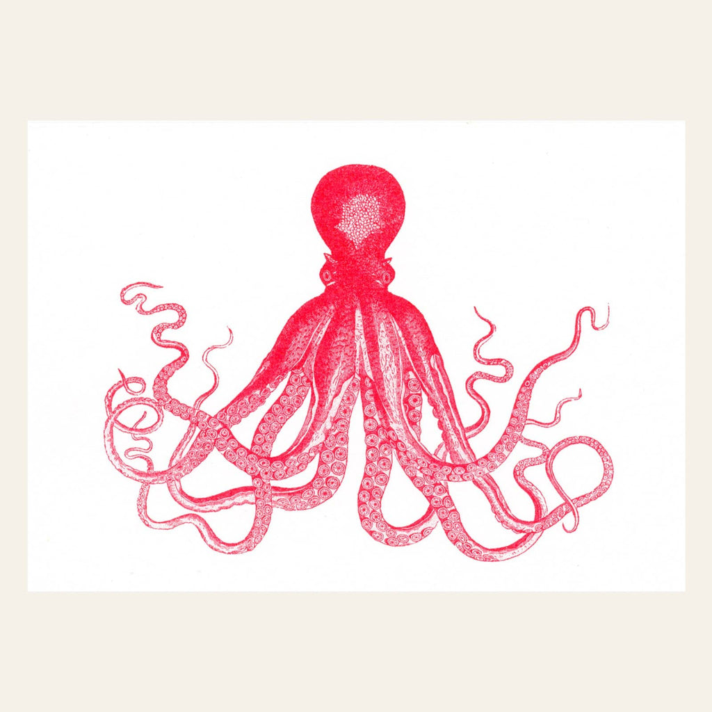 Carte postale Pieuvre Rouge