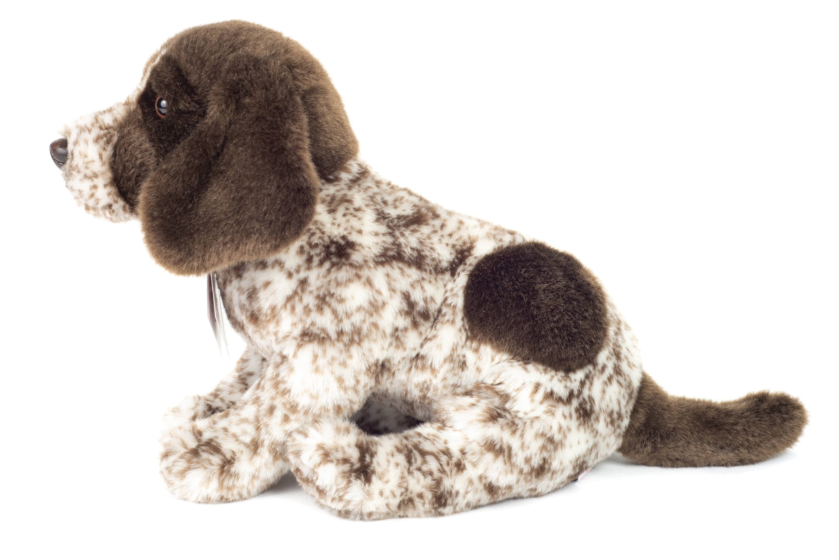 Peluche Braque Allemand à poil court