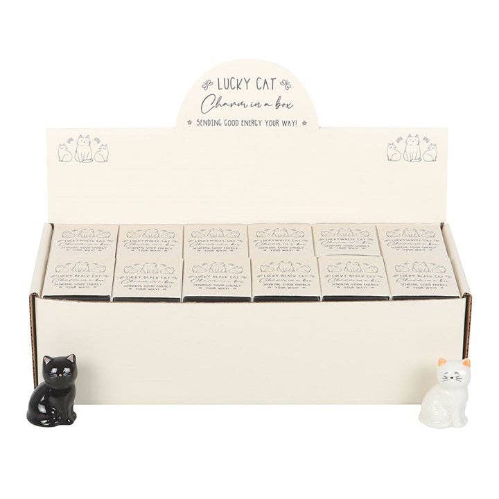 Lucky charms: black and white cats