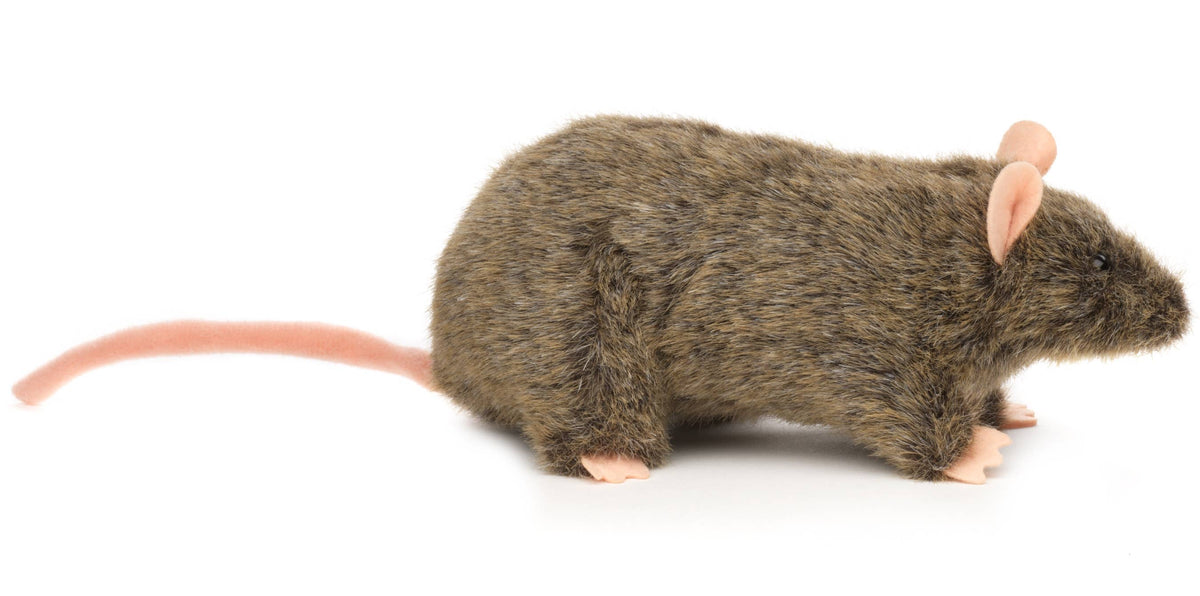 Rat - 18 cm (longueur) - peluche