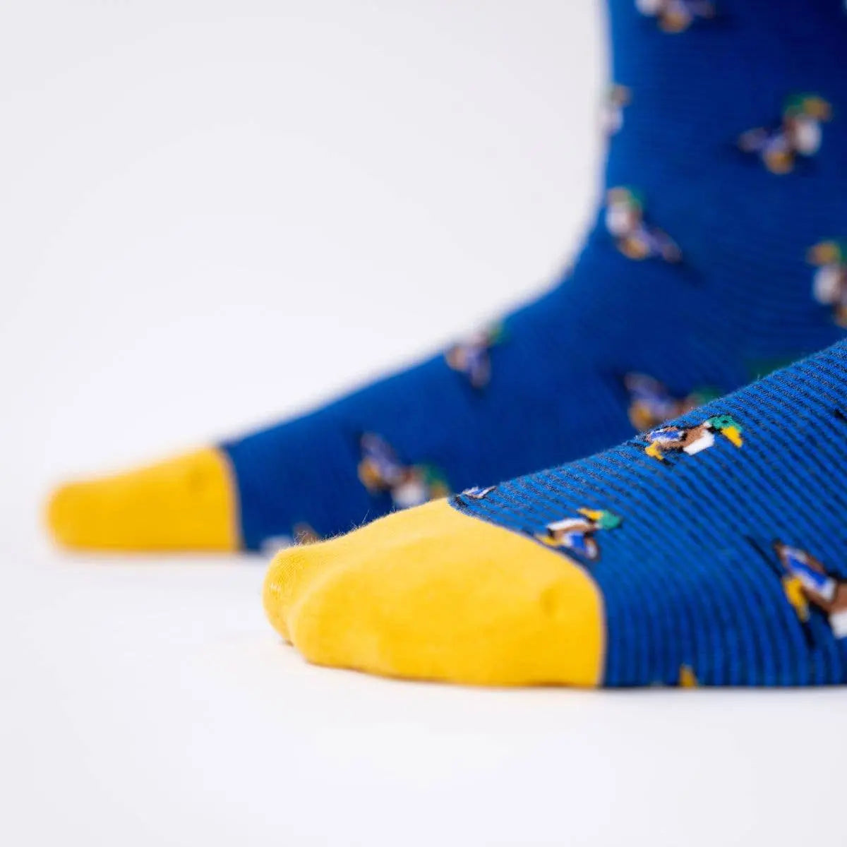 Chaussettes en coton peigné Canard Colvert BILLYBELT  CoinCaillerie