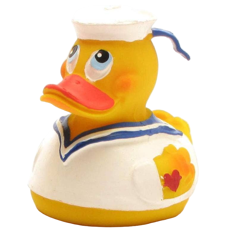 Canard Marin