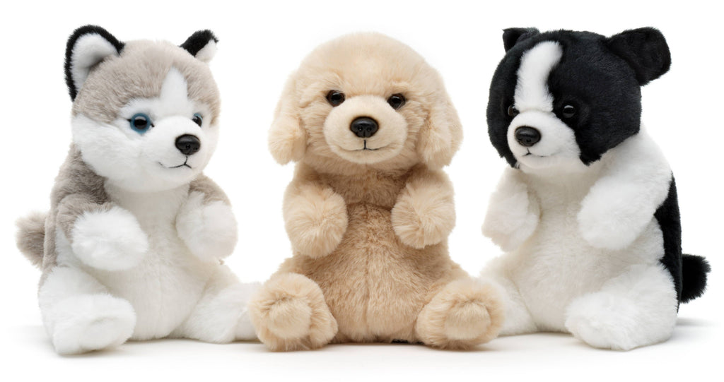 Husky, assis, style kawaii, doudou ou en peluche Uni Toys
