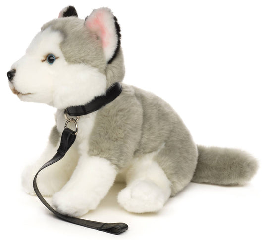 Graues Husky-Plüschtier, sitzend (mit Leine)