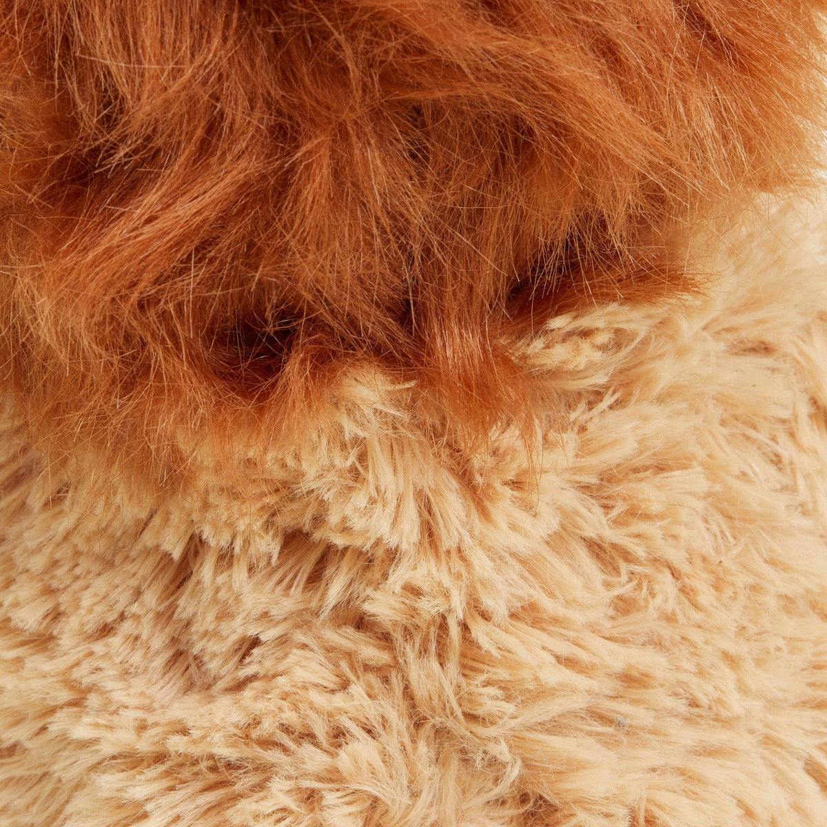 Lion déhoussable bouillotte Warmies
