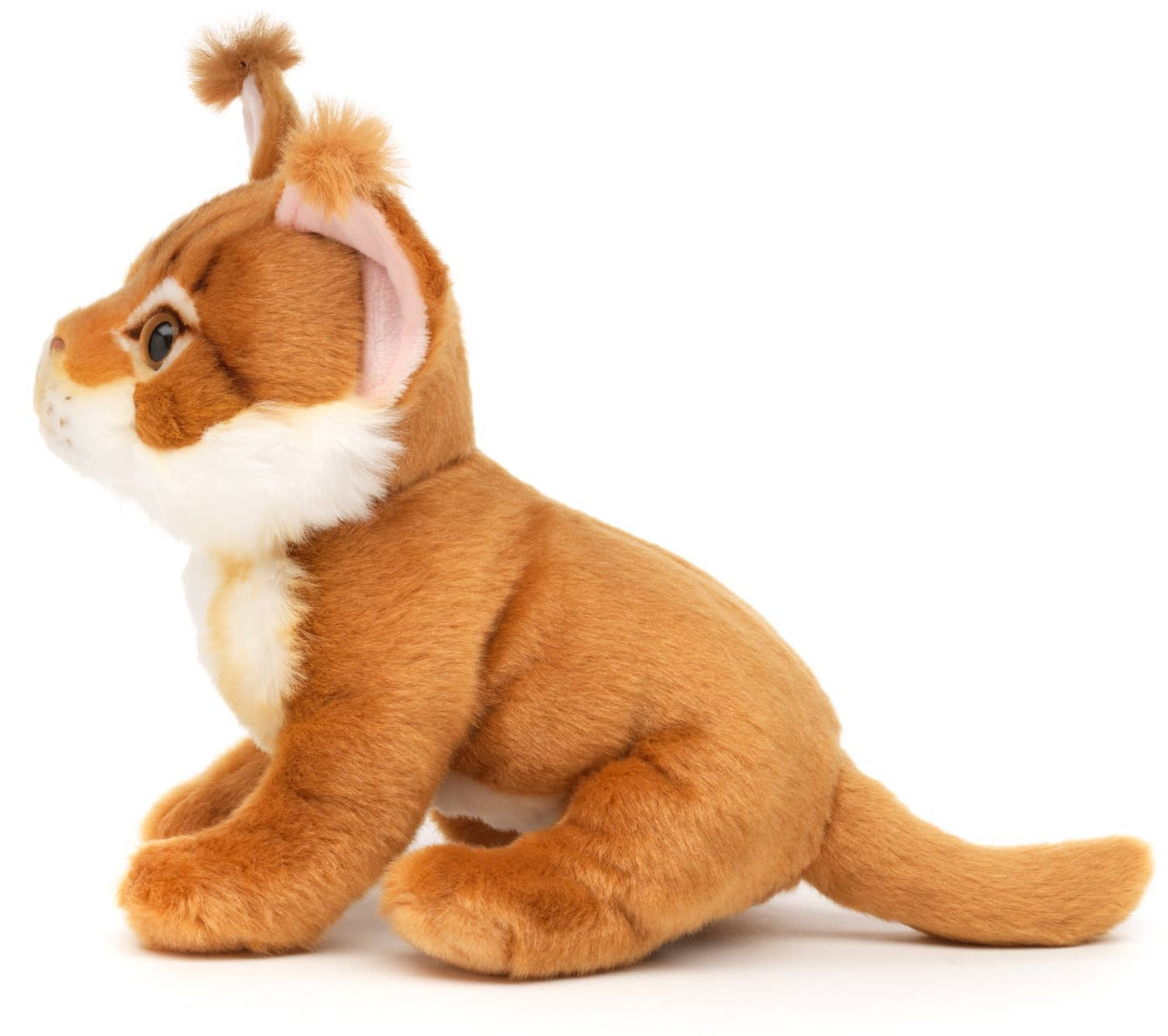 Peluche Chat de Maine-Coon (brun)