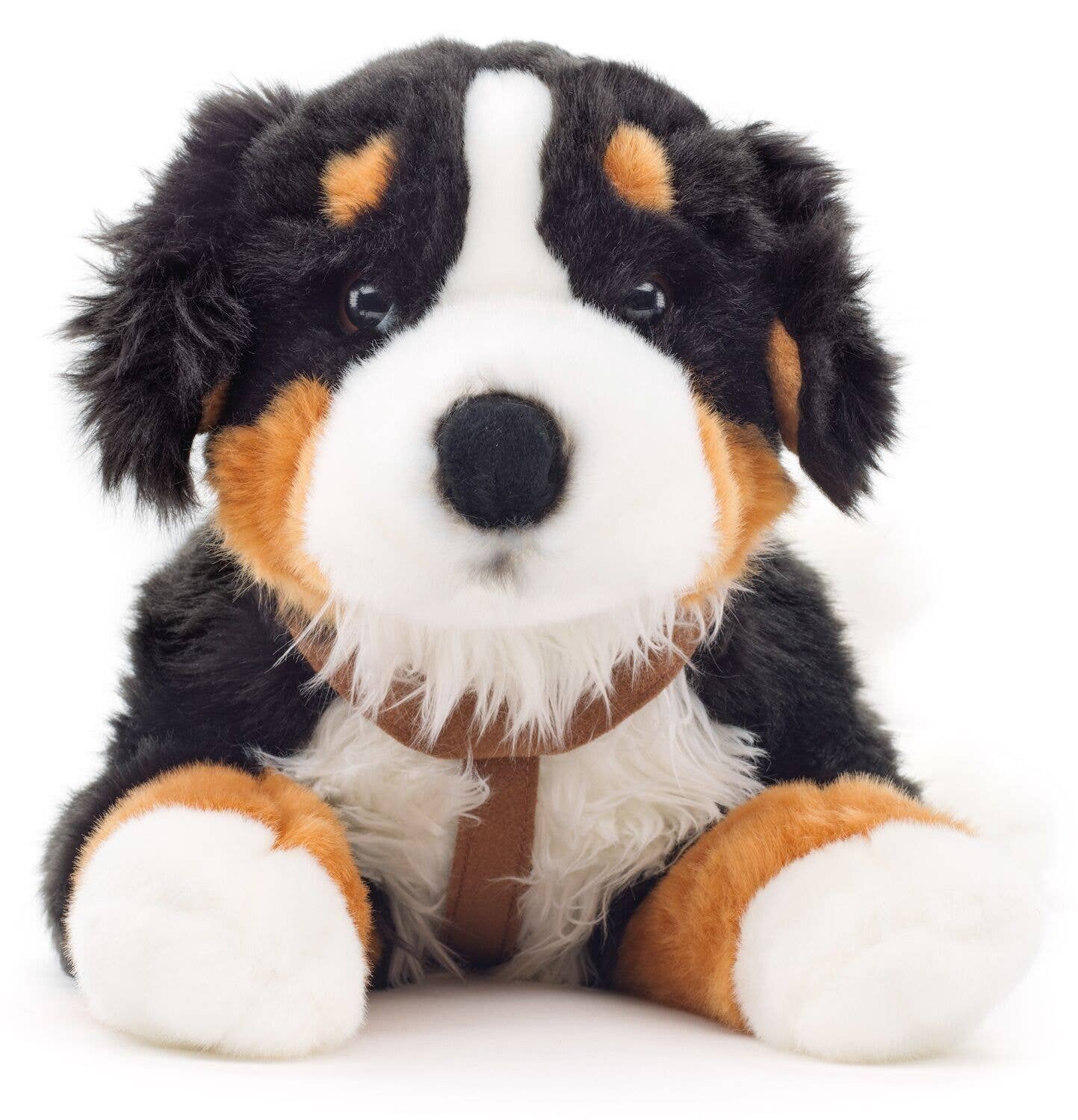 Peluche Bouvier bernois allongé (avec harnais)