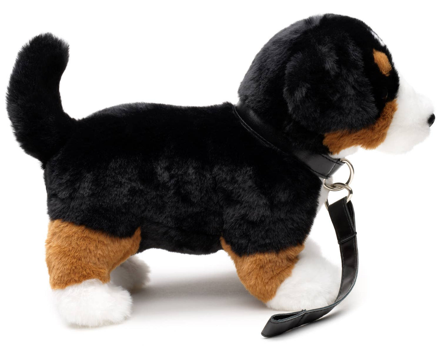 Peluche Bouvier bernois, avec laisse