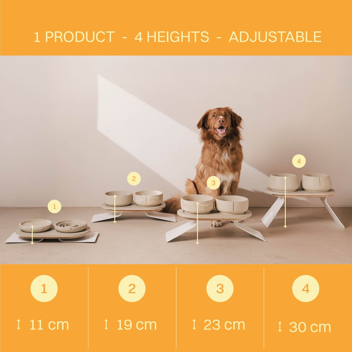 Coffret posture optimale pour chiens – vue produit 7