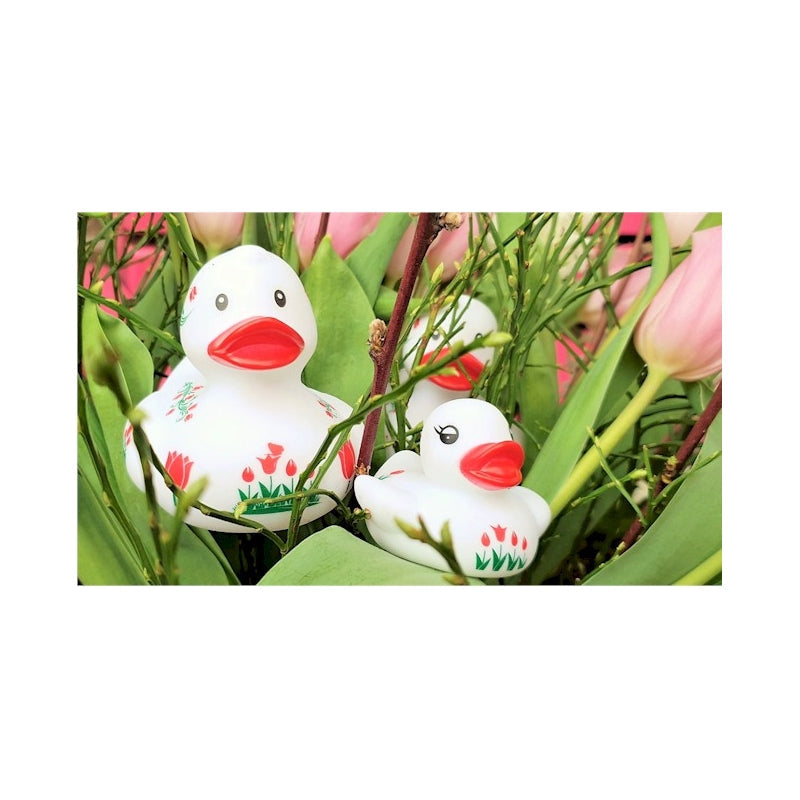 Canard Hollande Tulipes Dutch Ducky CoinCaillerie