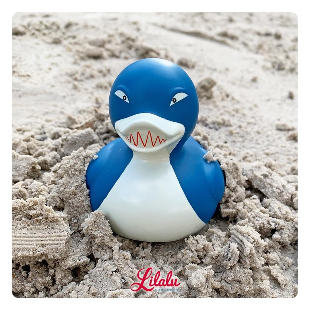 Chargement en cours...