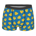 boxer патета bulles 86731084