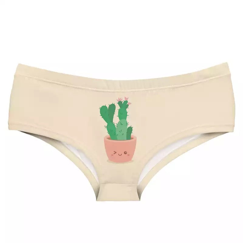 culotte cactus en pot 80282444