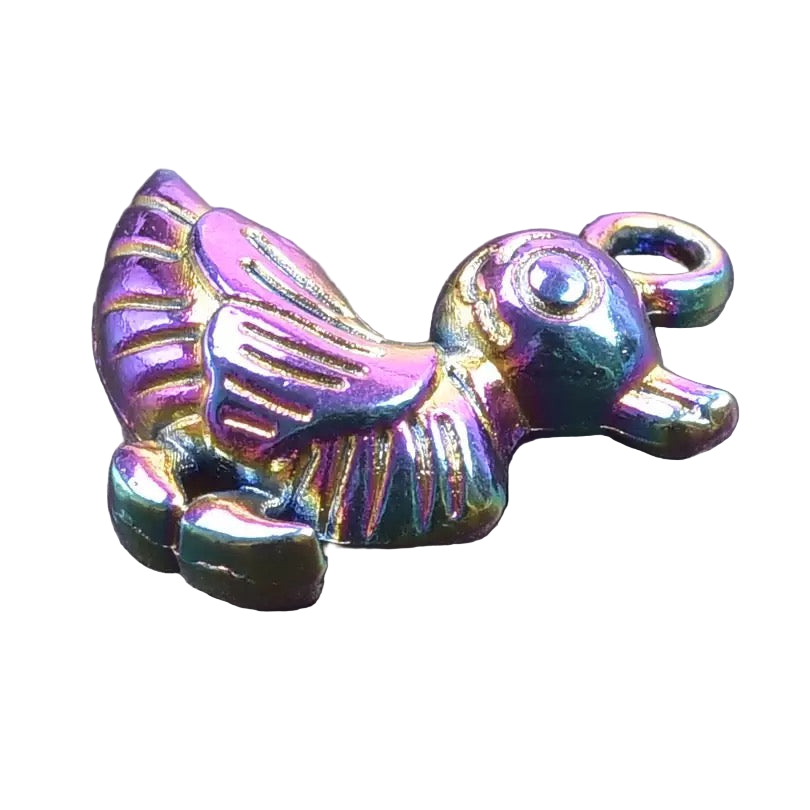 Regenboog eend charme