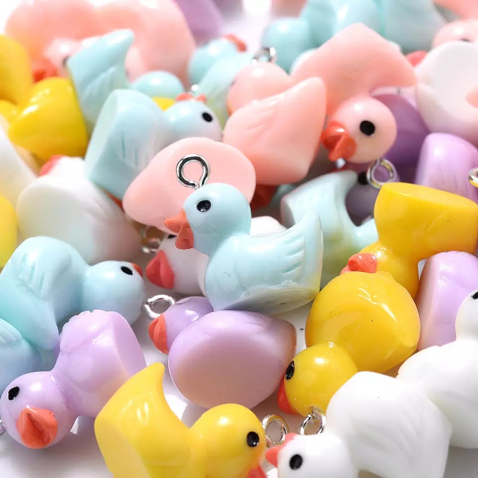 Charms mini canard