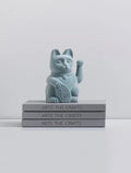 chat chanceux bleu velours lcc 53253196